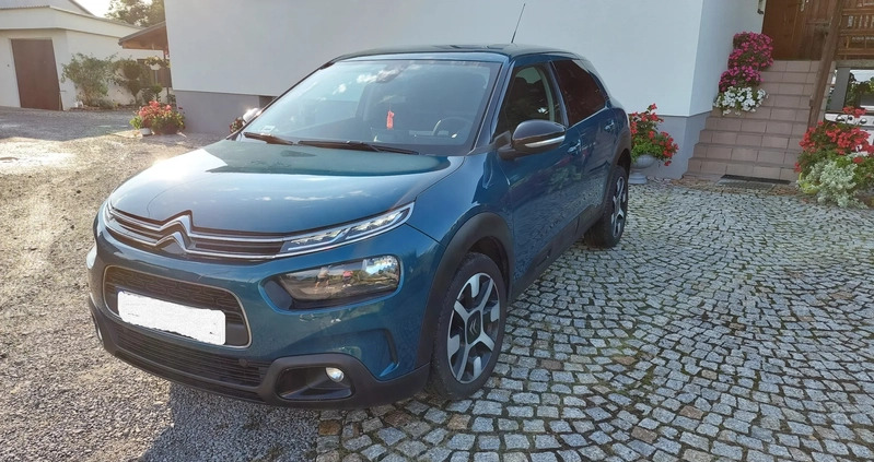Citroen C4 Cactus cena 56500 przebieg: 116000, rok produkcji 2018 z Międzychód małe 172